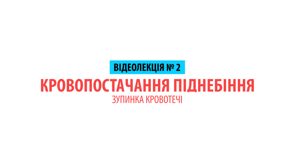 Кровопостачання піднебіння